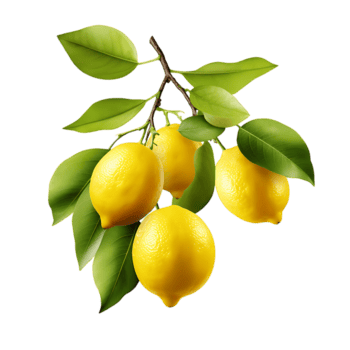 tangy-lemon-cluster-refreshing-citrus-display-revealed-png